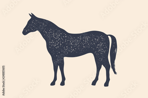 Horse, stallion. Concept design of farm animals