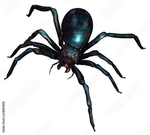 Spider 3d illustration isolated on the white background © max79im