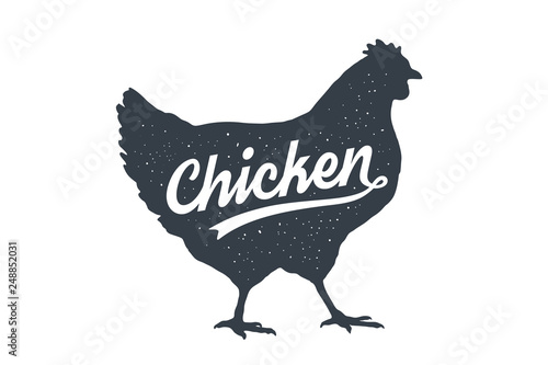 Chicken, hen, poultry. Lettering. Vintage lettering, retro print