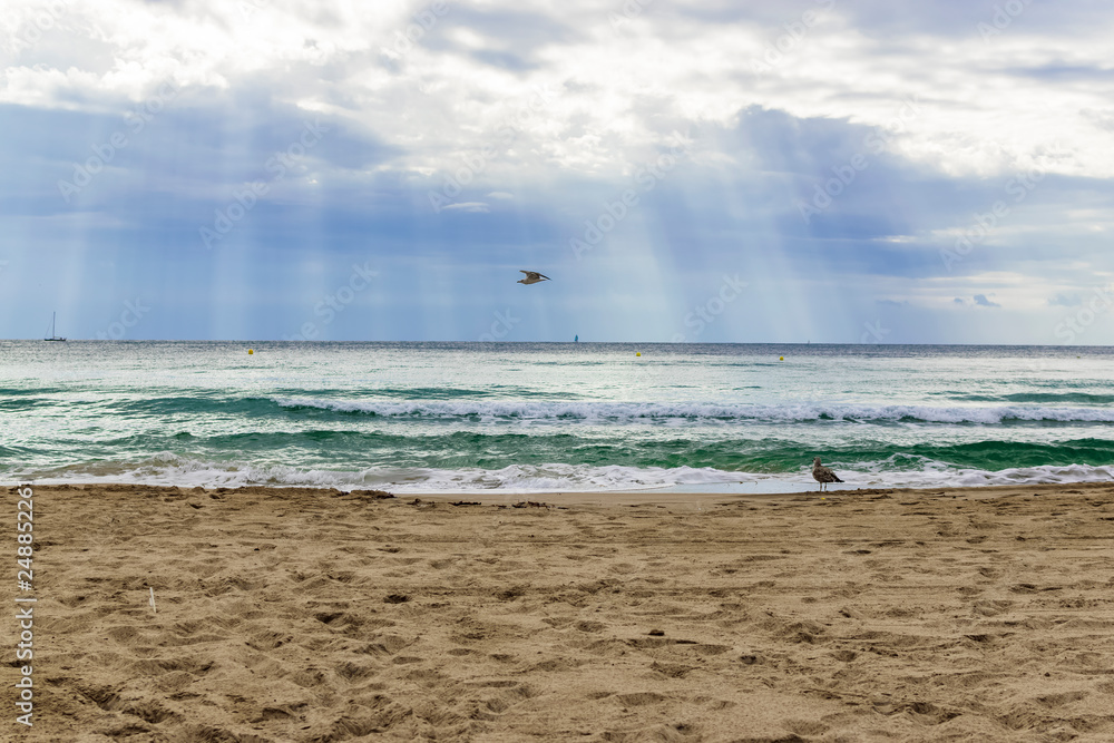 Sunbeams on the sandy beach with seagulls as protagonists, flying over the sea. Photography made in Calpe, Alicante, Spain.