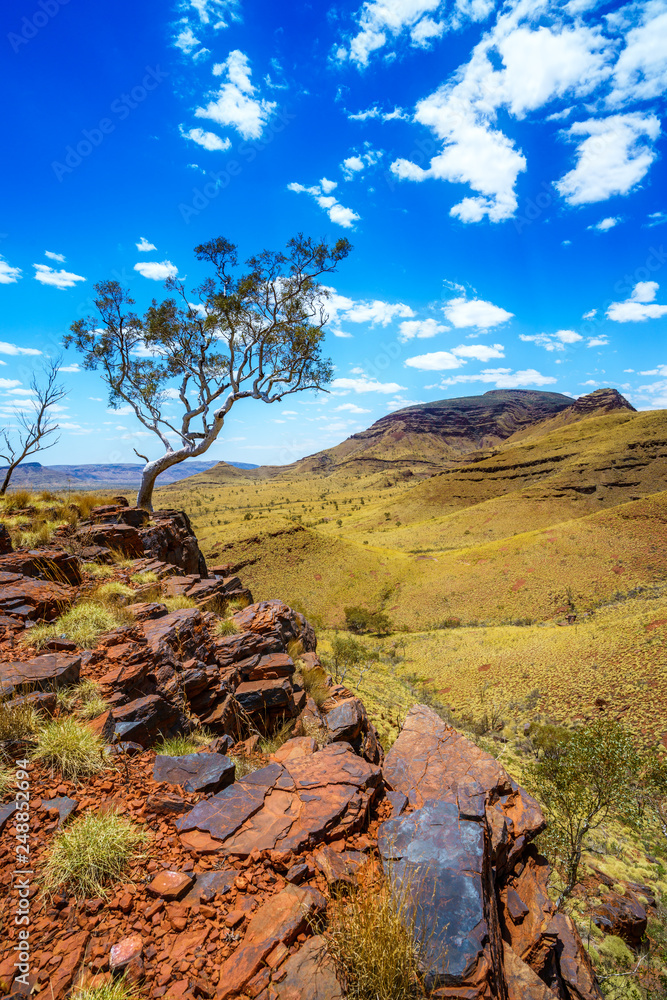 hiking on mount bruce in karijini national park, western australia 76