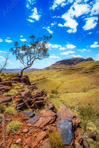 Obraz na płótnie hiking on mount bruce in karijini national park, western australia 76 w salonie