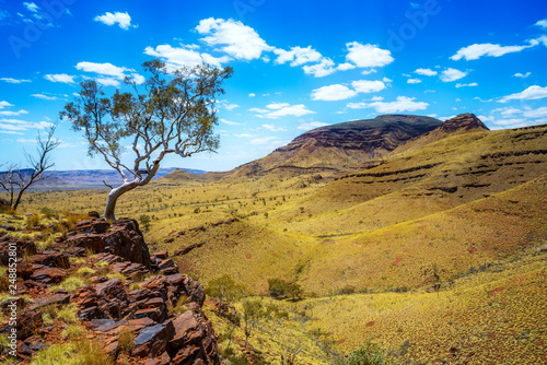 hiking on mount bruce in karijini national park, western australia 81 photo