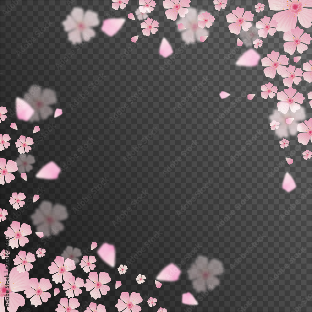 Fototapeta Pink flowers decorated transparent background with space for your text.