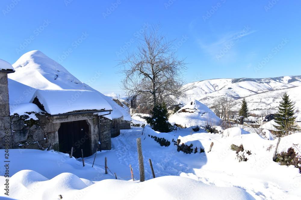 Mountain village with ancient palloza houses covered with snow. Snowy mountainside and fir trees. Piornedo, Lugo, Spain.