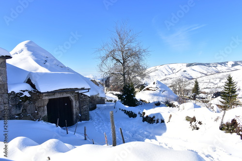 Obraz na płótnie Mountain village with ancient palloza houses covered with snow. Snowy mountainside and fir trees. Piornedo, Lugo, Spain. w salonie