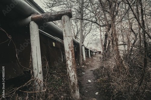 abandoned old house