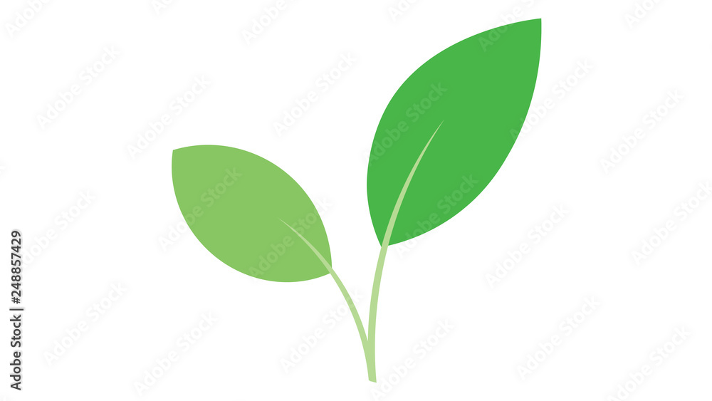 Leaf icon vector design. Leaf logo. Leaf icon vector design. Leaf logo.