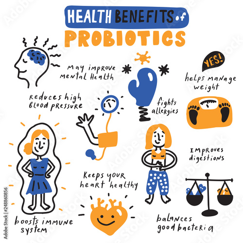 Health benefits of probiotics. Hand drawn infographic poster. Vector.