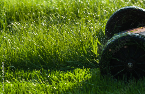 Lawn care green wet grass