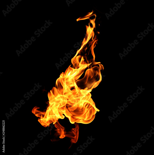 Fire flames on black background.
