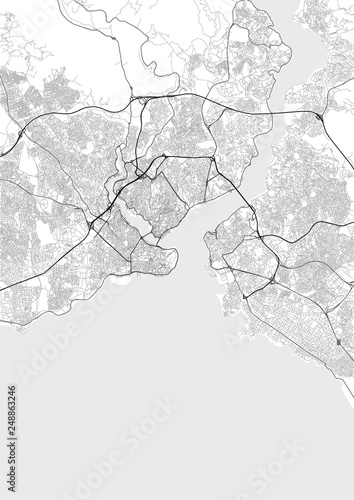Fotografie, Obraz Vector city map of Istanbul in black and white