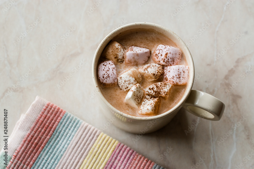 Healthy Homemade Milk Babyccino with Marshmallows and Cocoa / Cinnamon Powder Healthy Homemade Milk Babyccino with Marshmallows and Cocoa / Cinnamon Powder