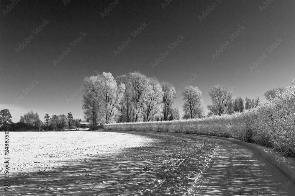Obraz premium Winter am Niederrhein