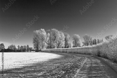 Winter am Niederrhein photo