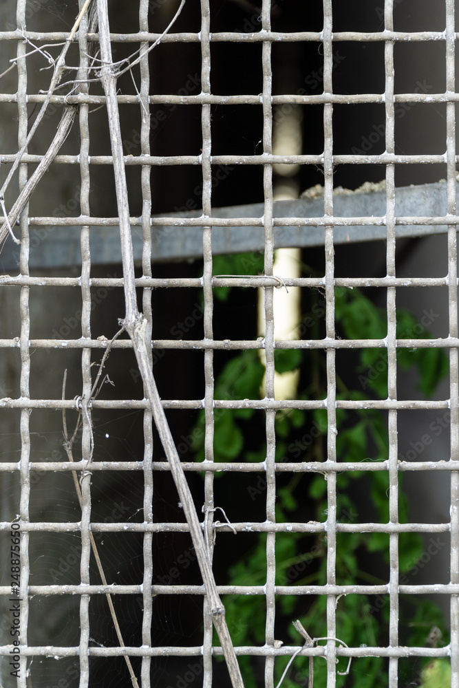 Obraz premium Old metal net