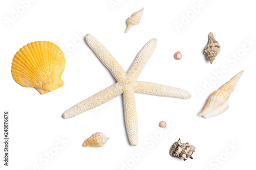 Collection of- different seashells isolated on white