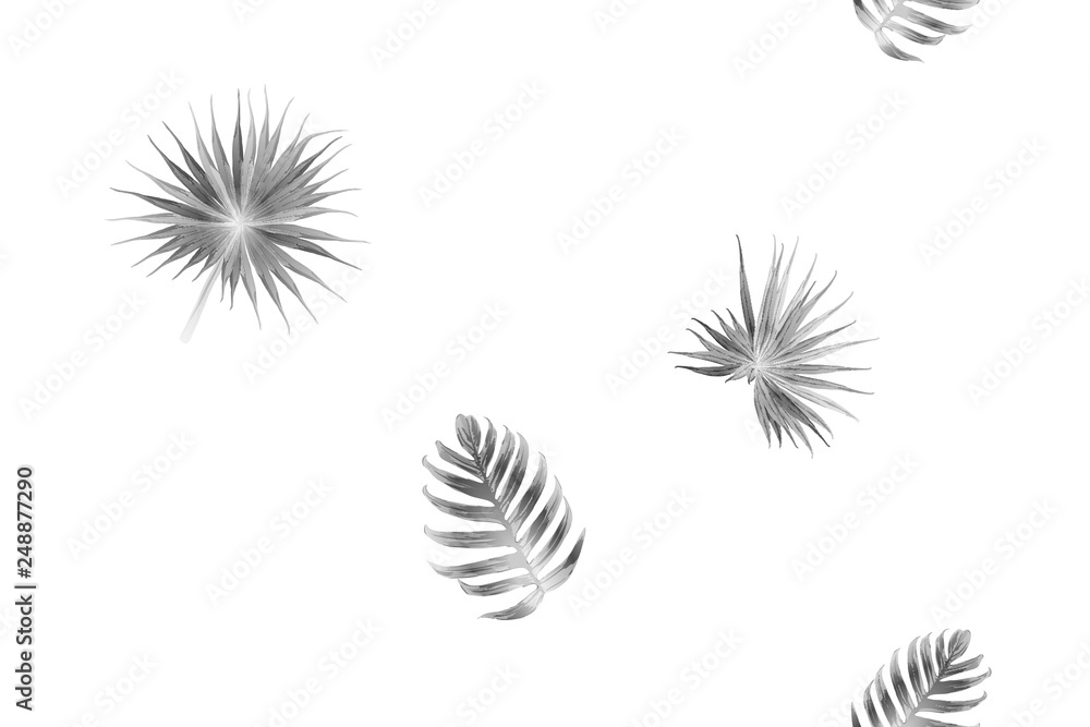 Black white exotic pattern. Black white exotic pattern.