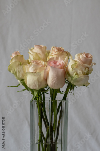 White and pink roses in a vase