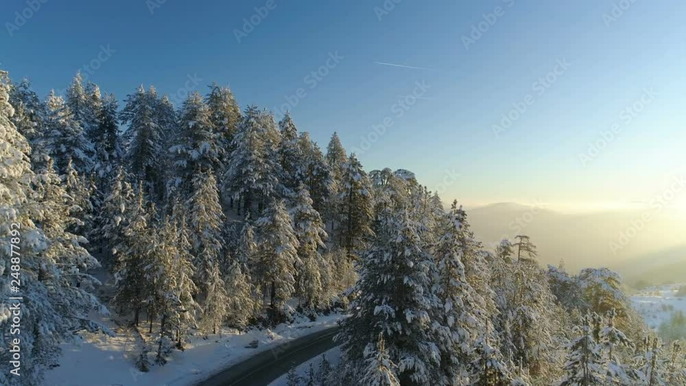 flight over the road through the snowy forest at sunrise flight over the road through the snowy forest at sunrise
