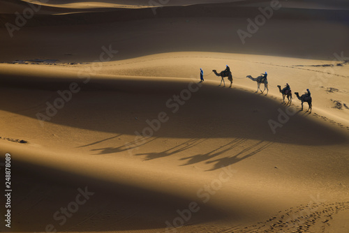 Camel caravan in desert