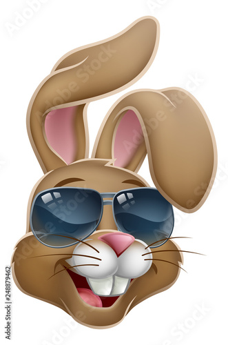 Easter bunny rabbit cartoon character in cool sunglasses or shades 