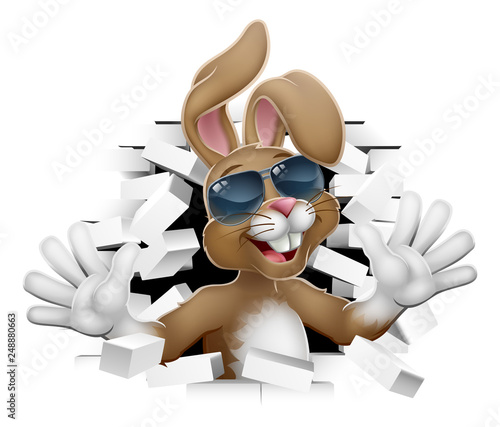 Easter bunny rabbit cartoon character in cool sunglasses or shades breaking through the background wall 
