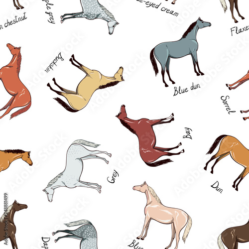 Horse color chart seamless pattern. Equine coat color with text. Equestrian scheme. Bay, sorrel, chestnut, grey, dun, dapple, type. Vector hand drawn cartoon. Silk fabric scarf style background