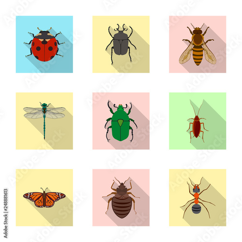 Isolated object of insect and fly logo. Set of insect and element stock vector illustration.