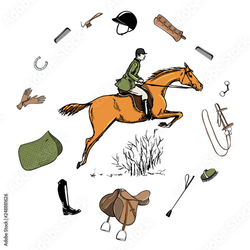 Equestrian sport with horse rider style. Saddlery in leather belt frame with bit, saddle, bridle, stirrup, brush, blanket horse riding gear tack grooming tool. Hand drawing vector harness set.