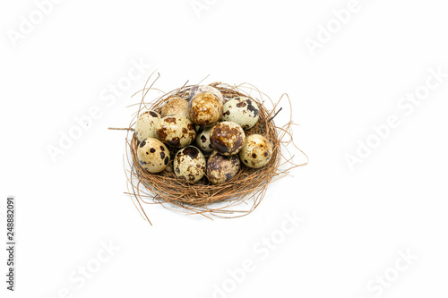 Happy Easter.Set of Easter eggs with different texture on a white background.Spring holiday. Vector foto .Happy easter eggs