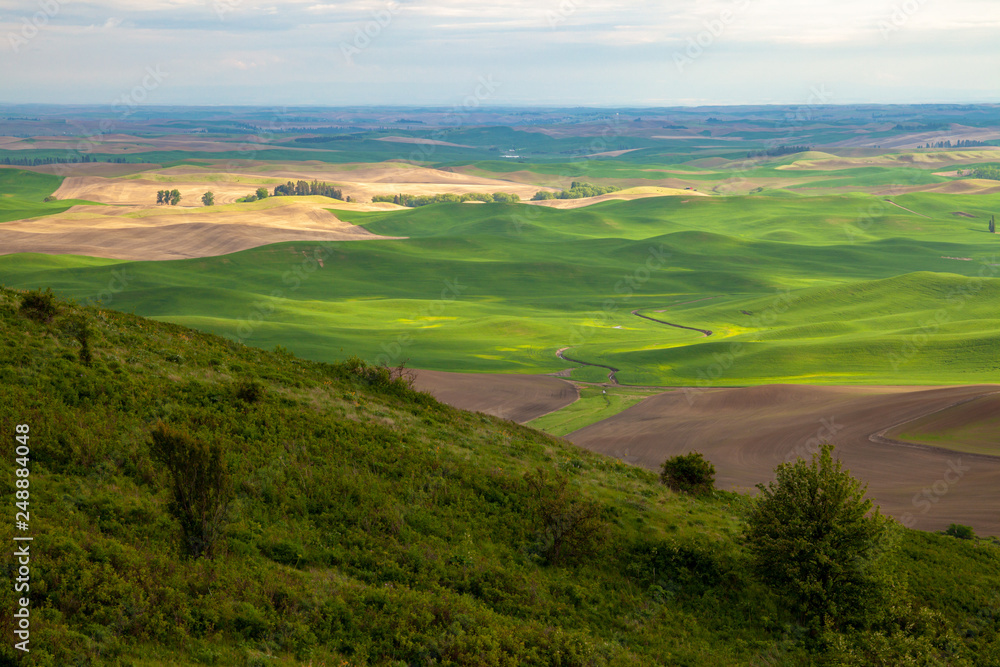 Fototapeta premium Aerial view of the farmland in the Palouse region of Eastern Washington state, USA