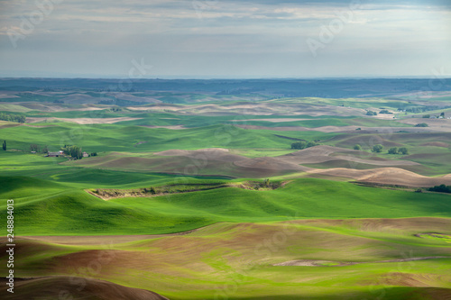 Aerial view of the farmland in the Palouse region of Eastern Washington state, USA