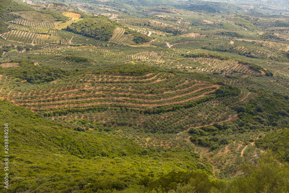 fertile messenian valley with olive gardes on early autumn from above, Peloponnese