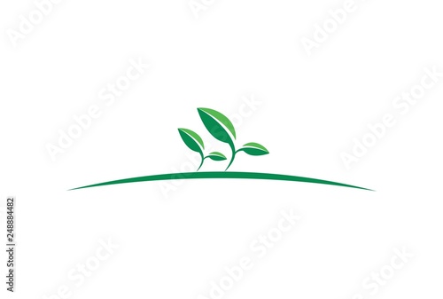 tea plantation garden logo icon