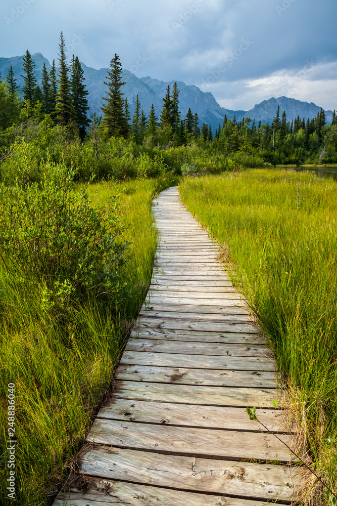 A boardwalk along a hiking trail in Bow Valley Provincial Park, Alberta, Canada