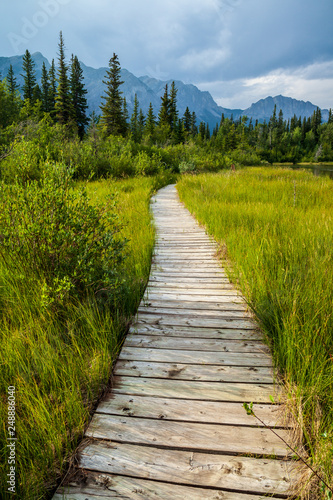 A boardwalk along a hiking trail in Bow Valley Provincial Park, Alberta, Canada