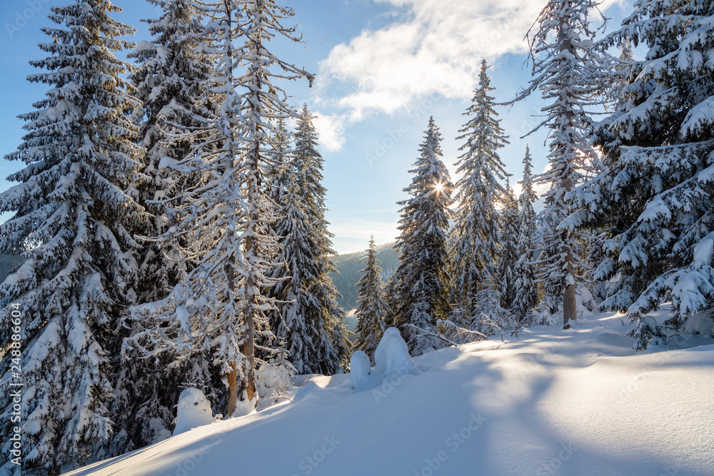 Fototapeta premium Bukovel in the winter. Snow-capped mountain peaks. Ukrainian Carpathians.