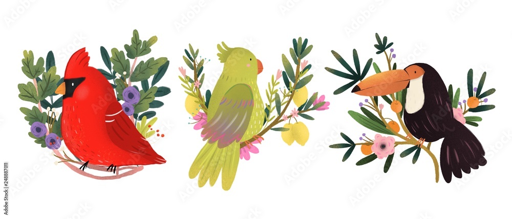 Obraz premium Set of three various birds sitting on the branches. Hand drawn colored illustration