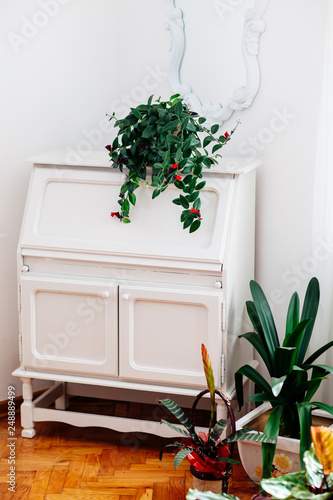 Flowers on the dresser.