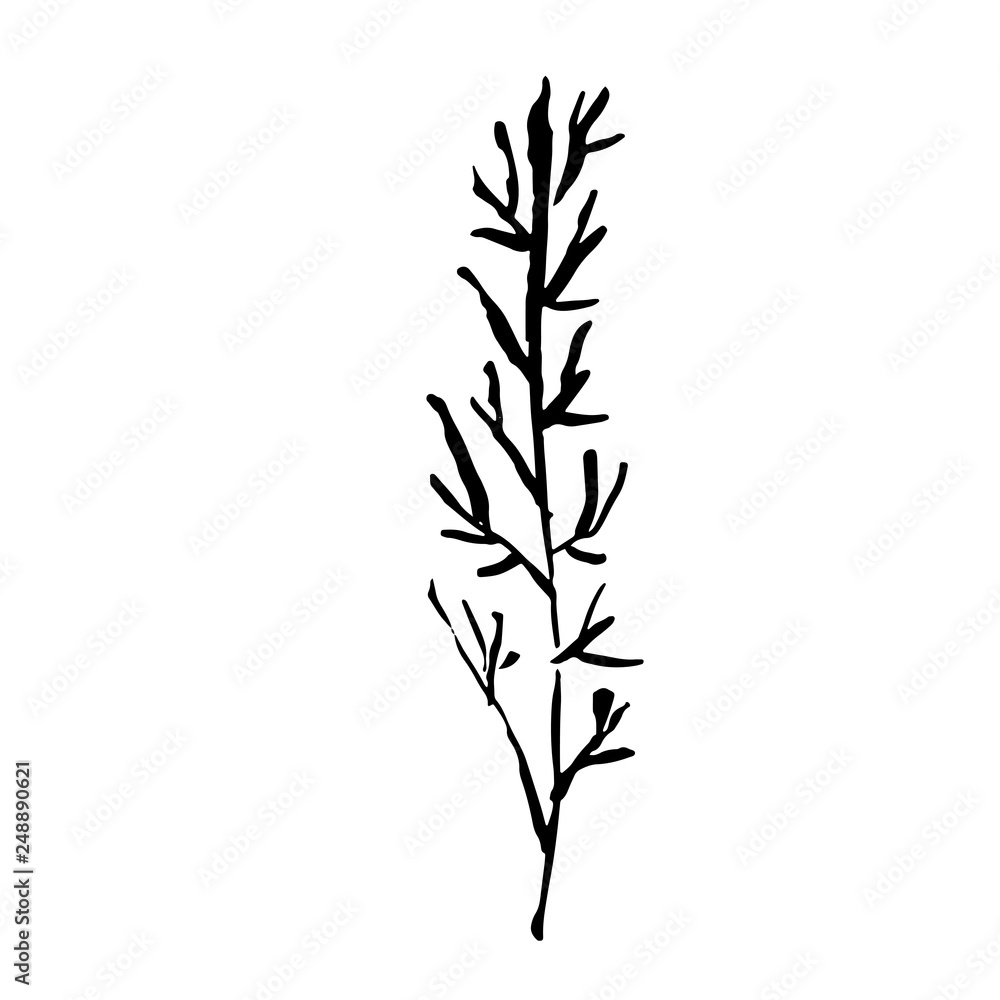 Obraz premium Tree silhouette. Hand drawn vector illustration.