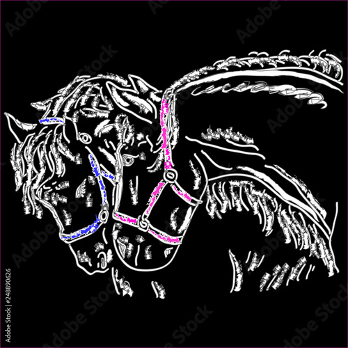 Beautiful horse head silhouette  together with lovely face. Two Horses isolated on black background. Vector illustration.