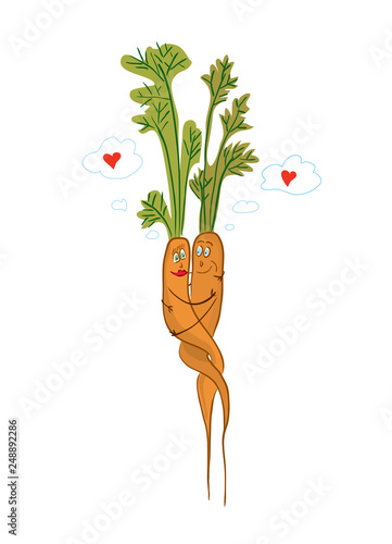 love-carrot. vector illustration with a pair of cheerful orange vegetables hugging each other