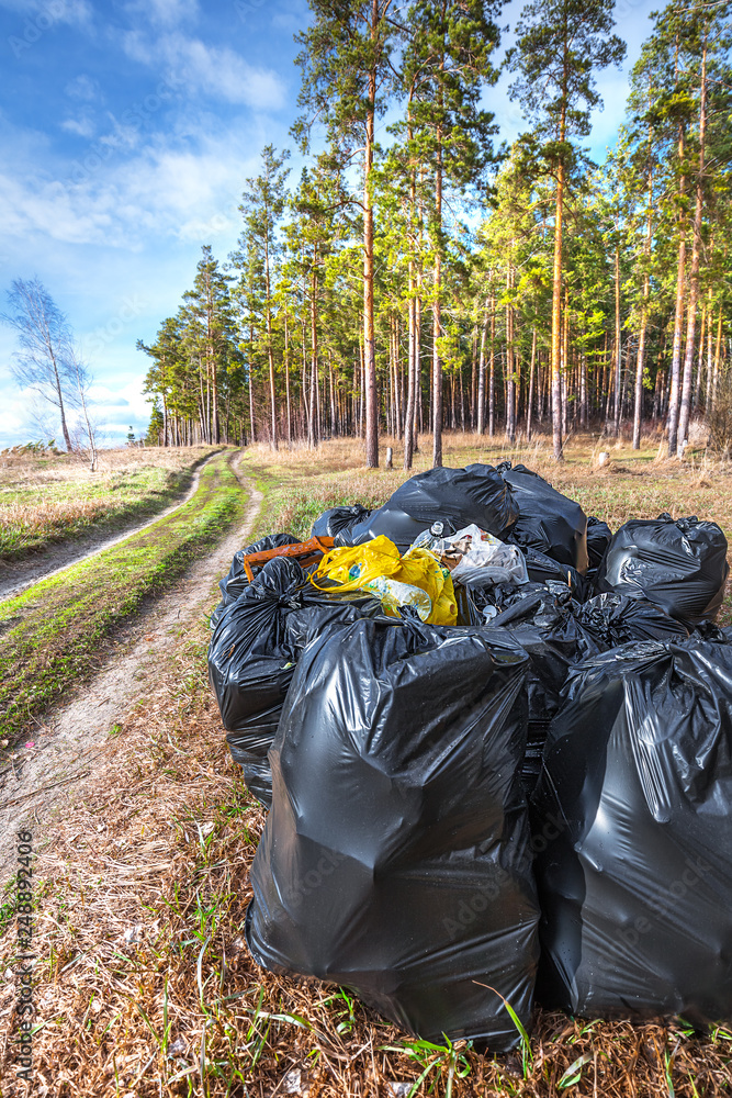 Black plastic bags of garbage in the woods. Siberia, Russia Black plastic bags of garbage in the woods. Siberia, Russia