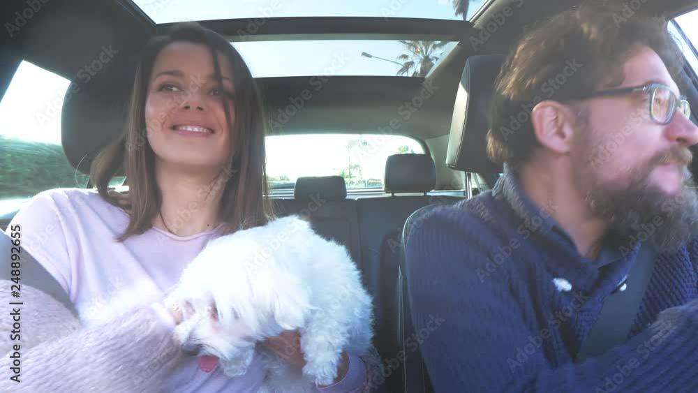 Happy couple dancing driving car with little puppy maltese dog Happy couple dancing driving car with little puppy maltese dog