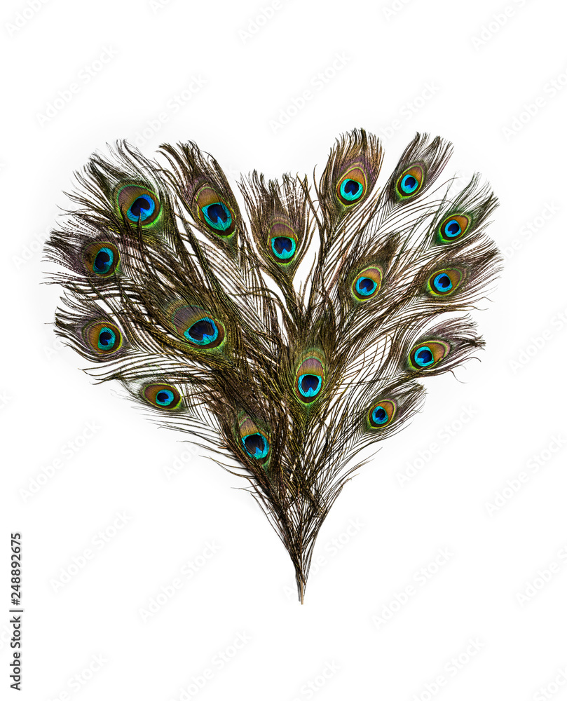 Fototapeta premium Herz aus Pfauenfedern