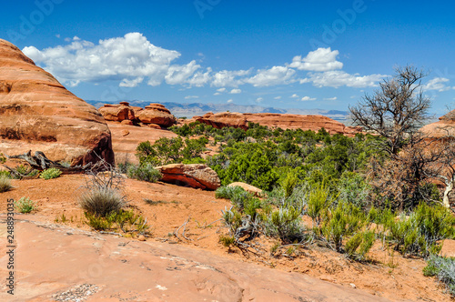 Ancient Sand Dunes and Boulders of Sandstone Located in Arches National Park of Utah
