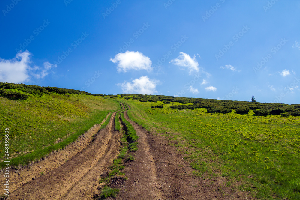 Dirt car track on green grassy hill leading to woody mountains ridge on bright blue sky copy space background. Tourism and traveling concept.