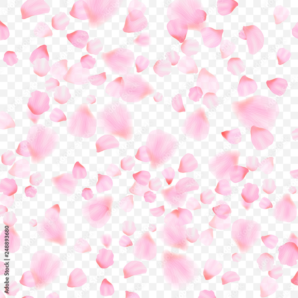 pink petals and flowers of cherry blossom isolated on transparent background. Falling blossom background. Vector pink petals and flowers of cherry blossom isolated on transparent background. Falling blossom background. Vector