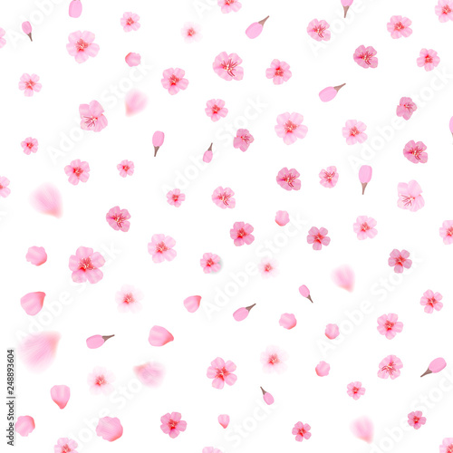 Pink cherry blossom  with falling leaves. Isolated on white background. Spring composition with sakura. Vector illustration